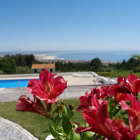 بيت ضيافة Casa Pinha