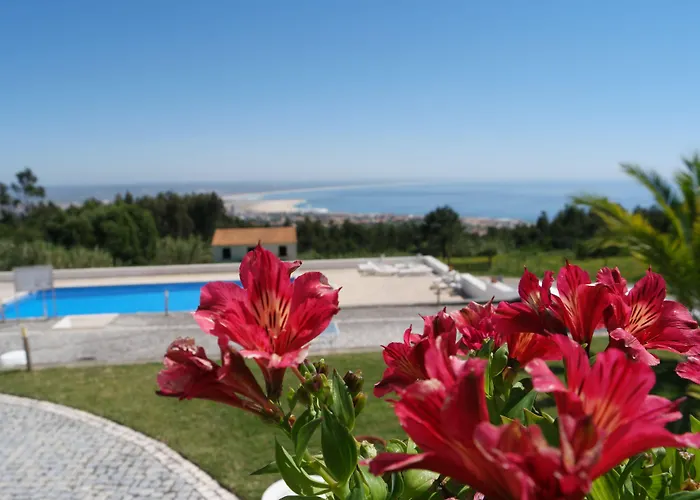 Affittacamere Casa Pinha