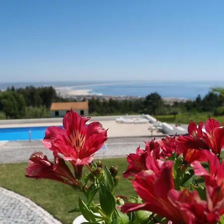 Casa Pinha Guest house